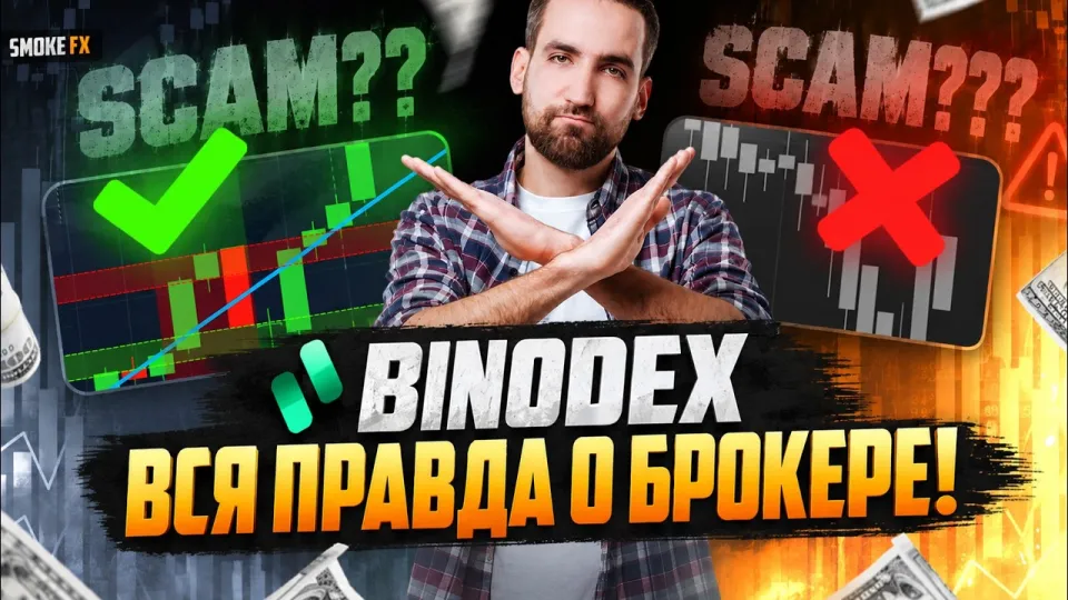 Трейдинг с нуля что лучше и почему стоит начать именно у брокера Binodex